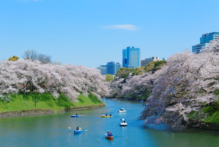 best places to visit in japan april