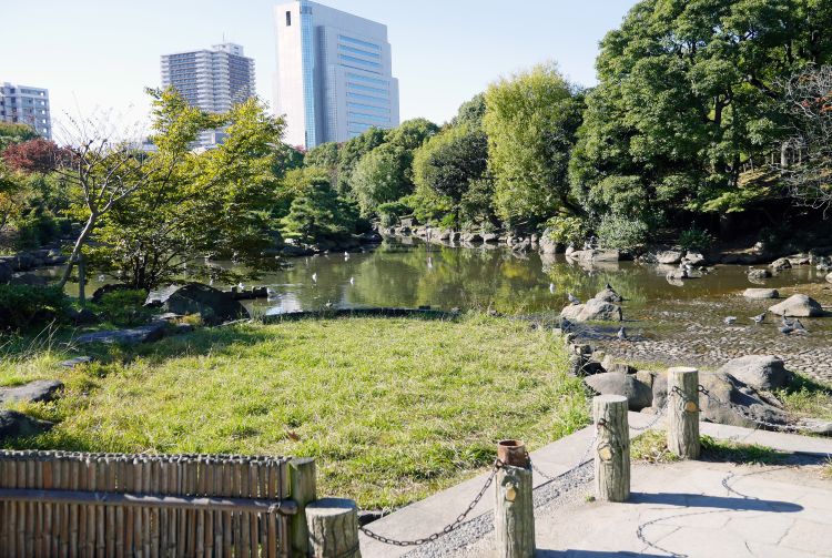 sumida river trip