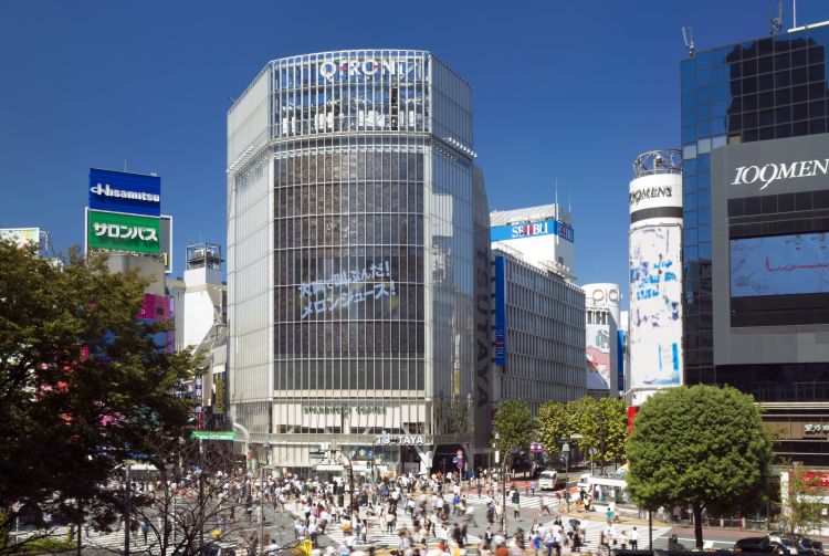 shibuya tourist guide