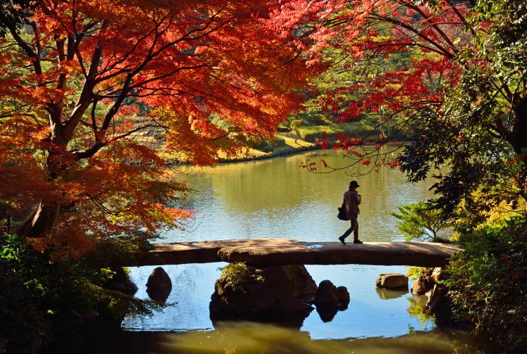 places to visit in tokyo in november