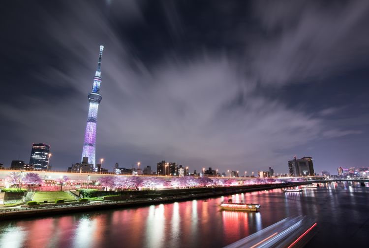 sumida river trip