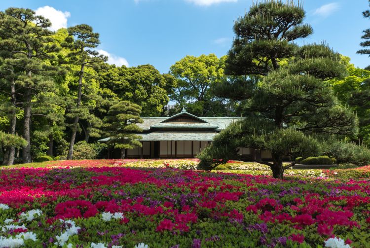 japan imperial palace visit