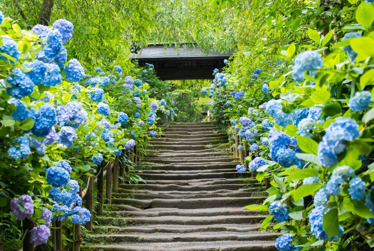 best places to visit japan june