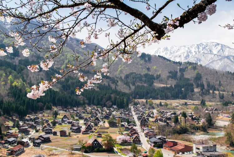 shirakawago visit