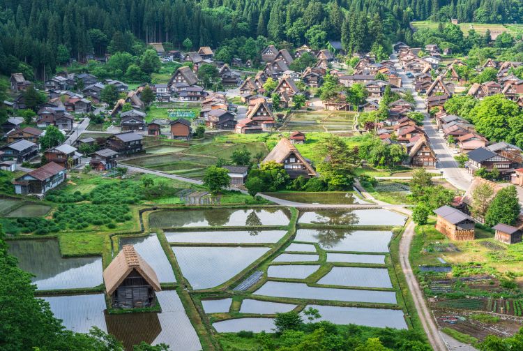 shirakawago visit