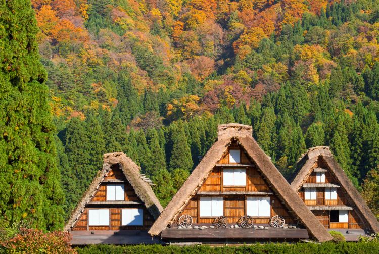 shirakawago visit