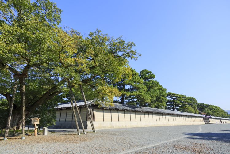 can you visit kyoto imperial palace