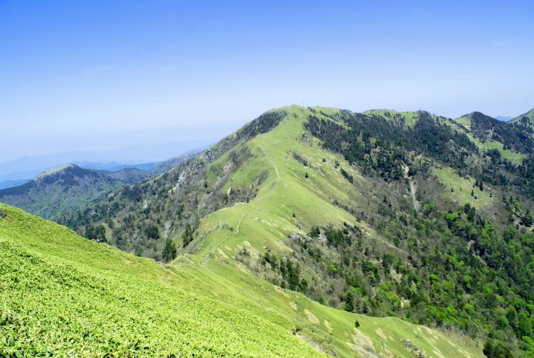 iya valley tour from takamatsu