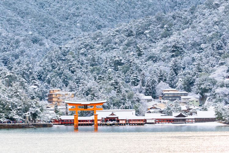 tokyo tourism in january