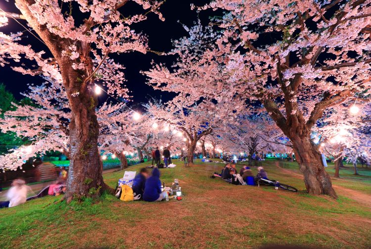 is it okay to visit japan in may