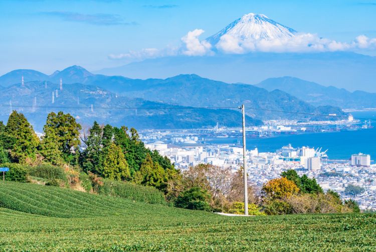 shizuoka tourist spots