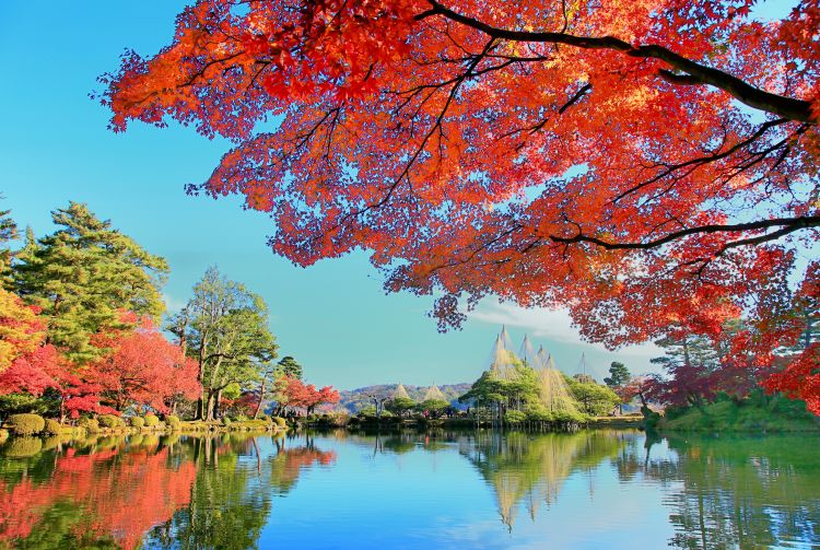 places to visit in tokyo in november