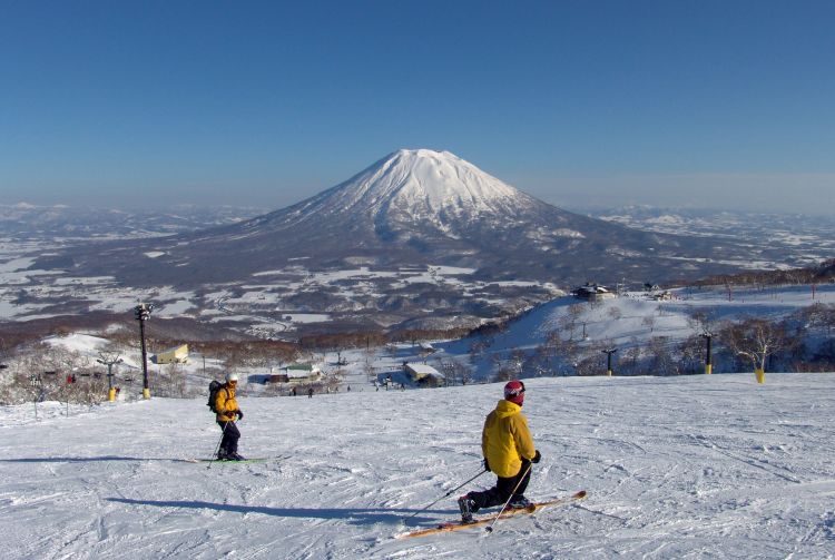 tokyo tourism in january