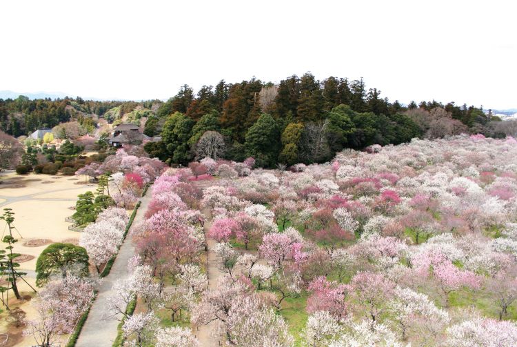 best places to visit in japan april