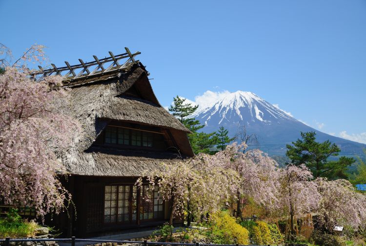 mt fuji tours from yokohama