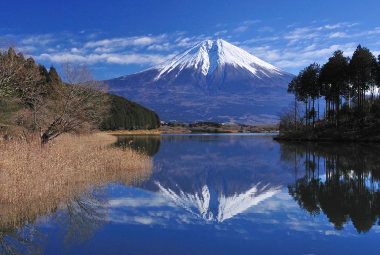 mt fuji without tour