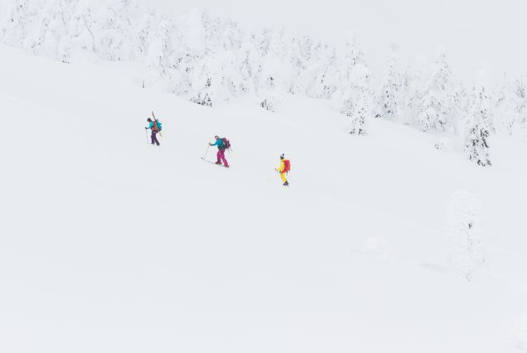 japan tour guides