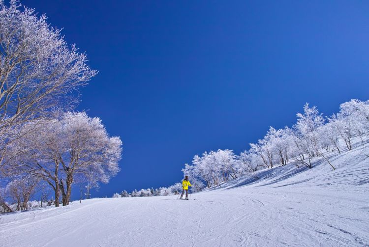 ski trips japan