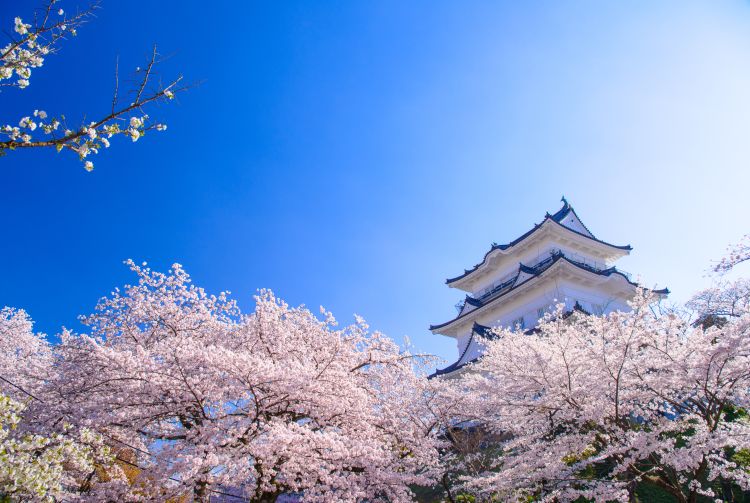 japan tour honeymoon package