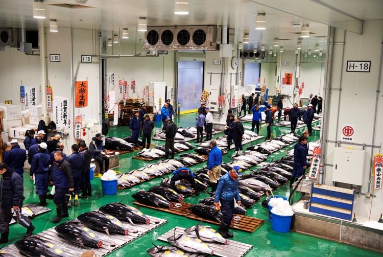 when to visit tsukiji fish market