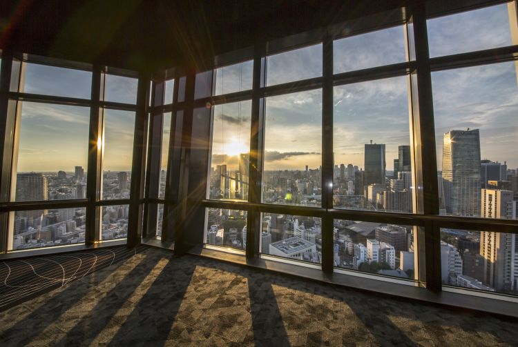 hauteur tour eiffel tokyo