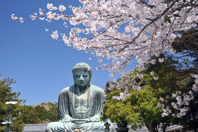 kamakura tourist