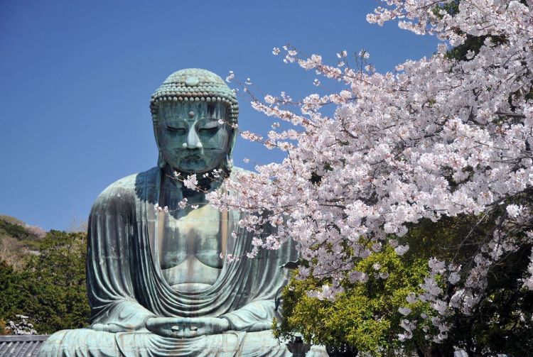 Kamakura Daibutsu (Great Buddha)  Travel Japan - Japan National Tourism  Organization (Official Site)