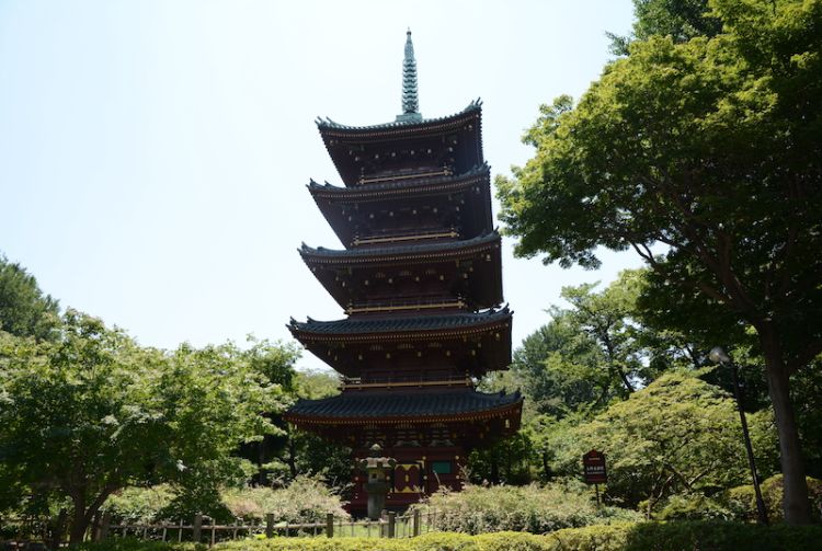 上野動物園| Travel Japan - 日本國家旅遊局（官方網站）