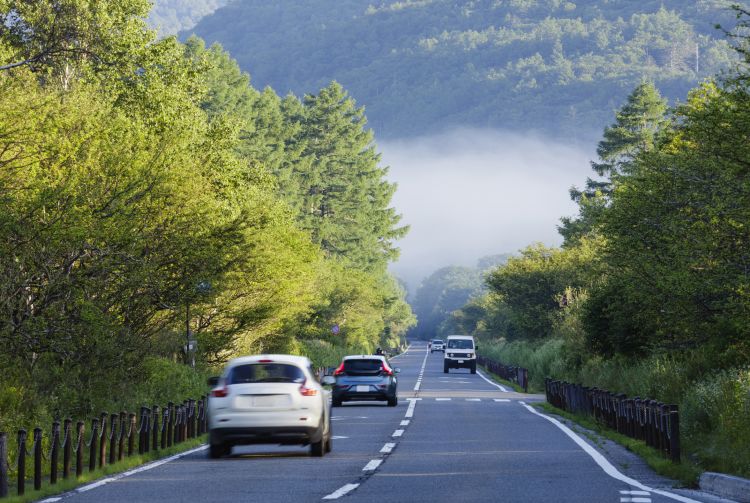 travel japan rental car