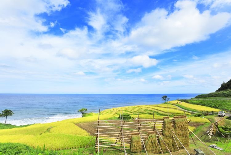 travel to japan countryside