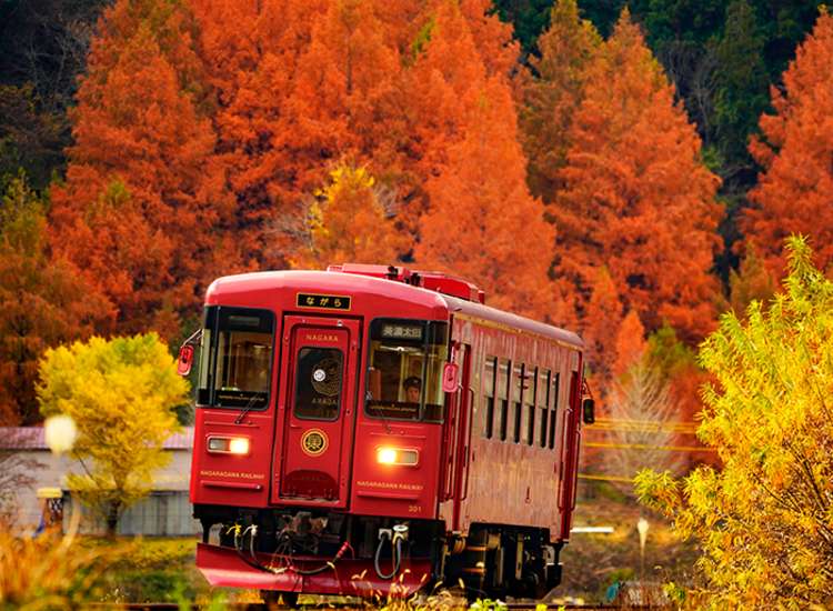 รถไฟนาการะ (Nagara Train)