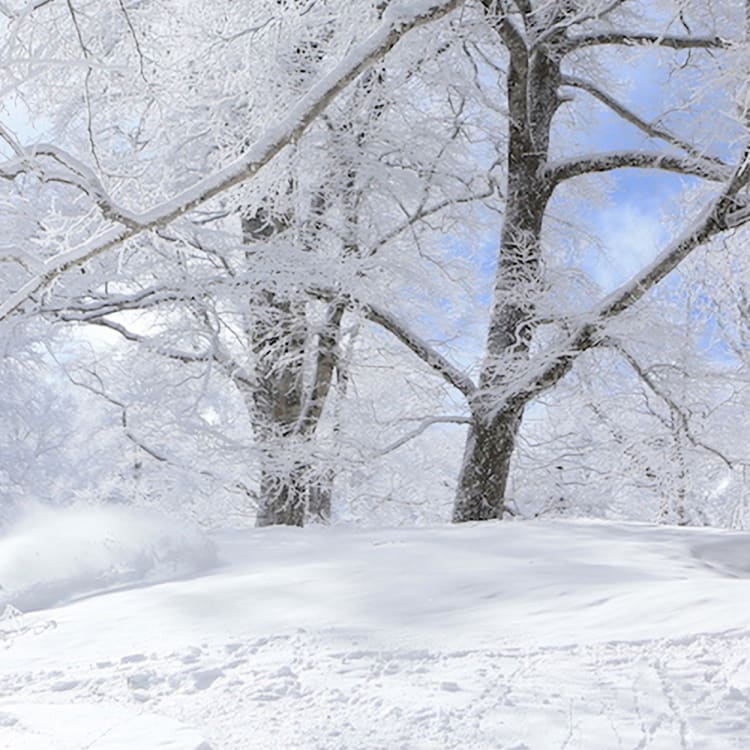 Nozawa Onsen