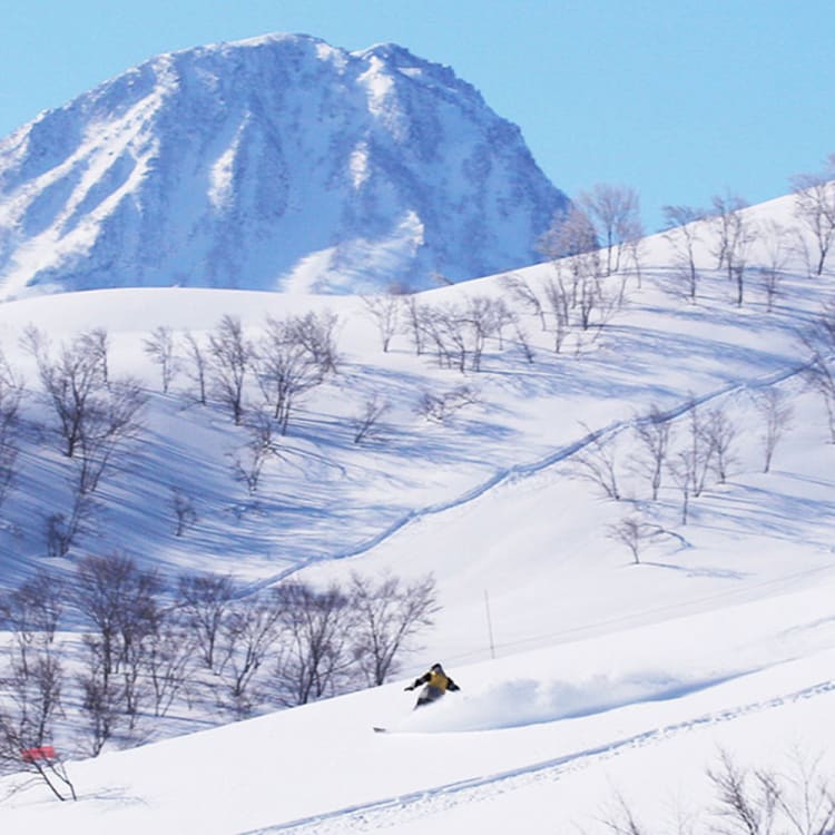 Lotte Arai Resort