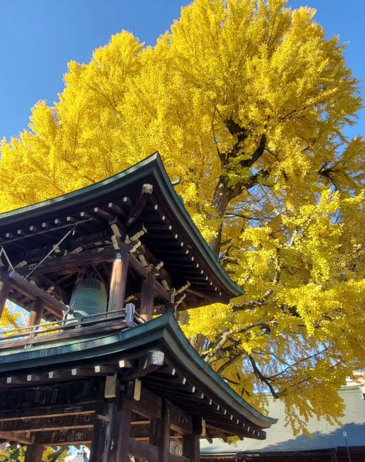 วัดฮิดะโคคุบุนจิ (Hida Kokubunji Temple)