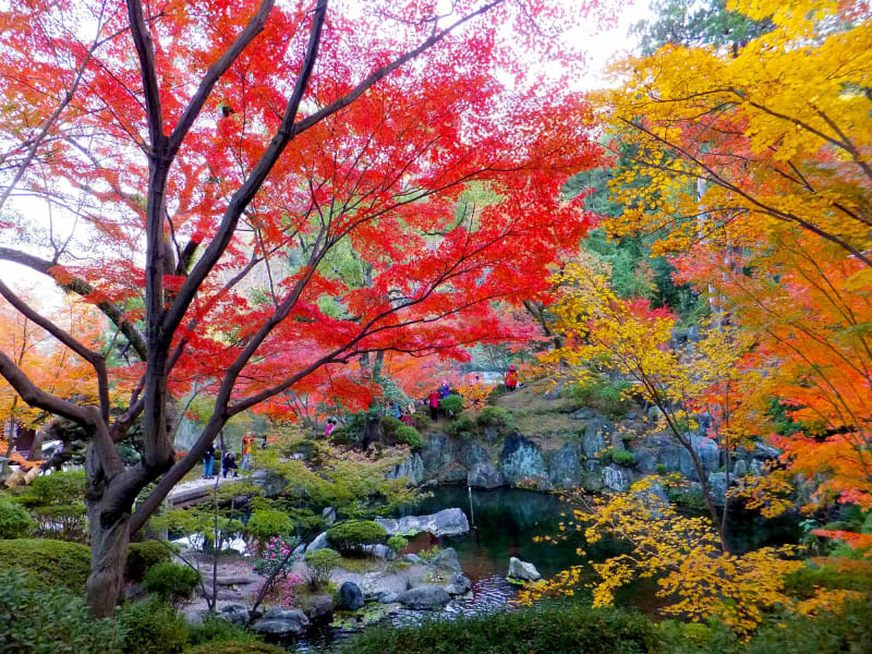 Cherry Blossoms and Autumn Leaves of Wakayama Castle | Japan‘s Local ...