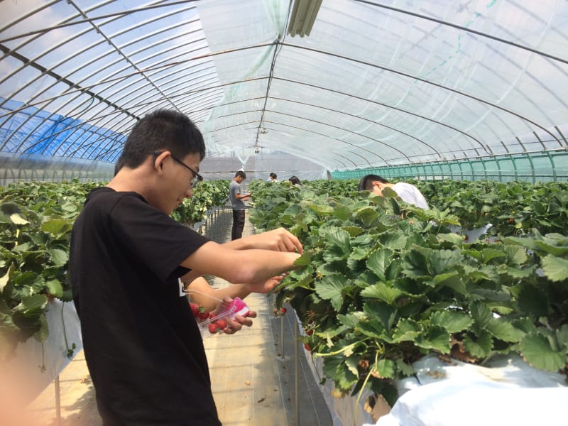 Experience Life on a Japanese Farm in the Historic Village of Asuka