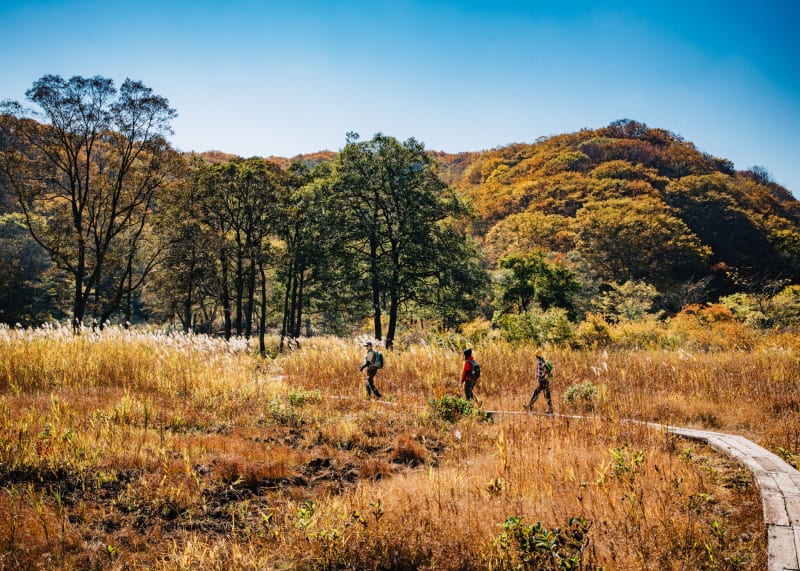 Hike One of Japan's Signature Long-Distance Trails | Experiences