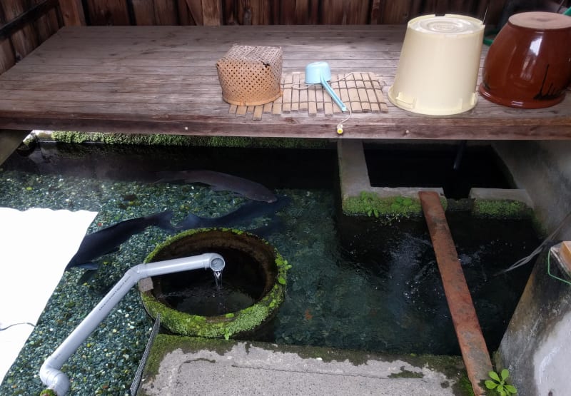 Take a Private Tour of the Village of Springs Experiences in Japan