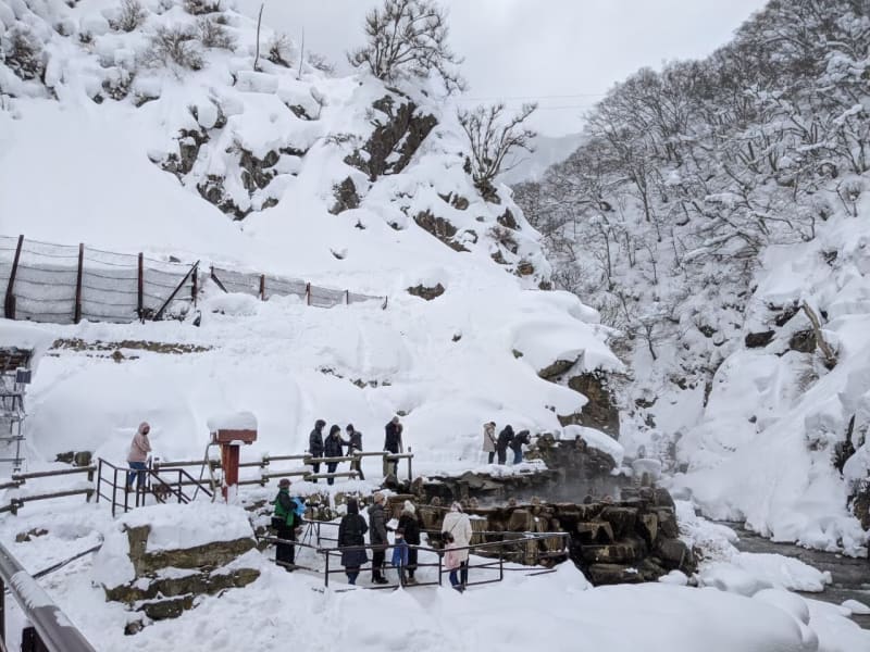 japan snow monkey photo tour