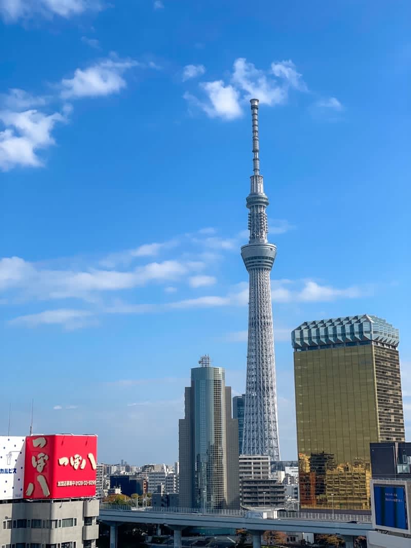 tokyo halal trip