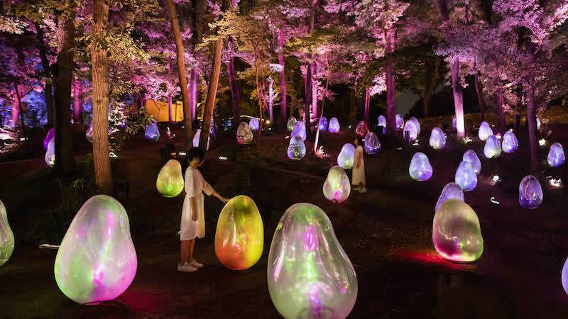 illuminated exhibition at teamlab acorn in saitama