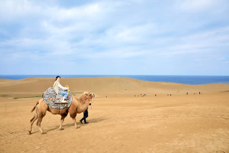 tottori sand dunes