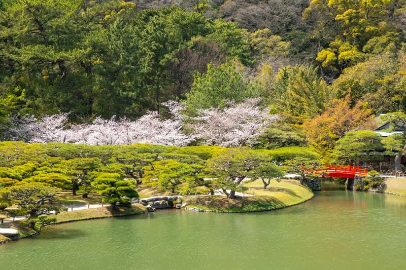 ritsurin garden park lake at spring