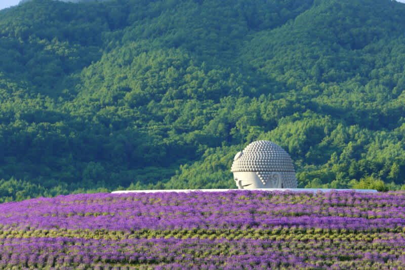 Hill Of The Buddha