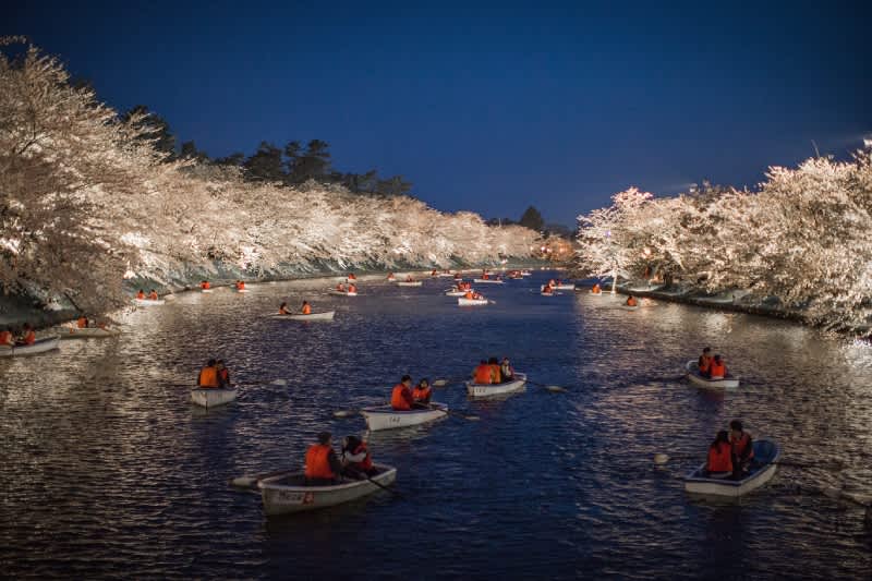 hirosaki cherry blossom festival