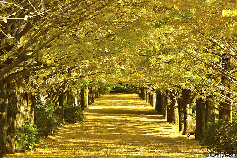 japan best places to visit in fall