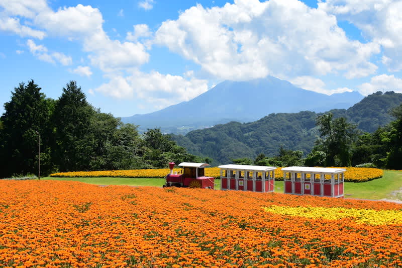 tottori prefectural flower park