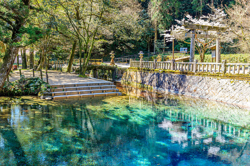 beppu benten pond
