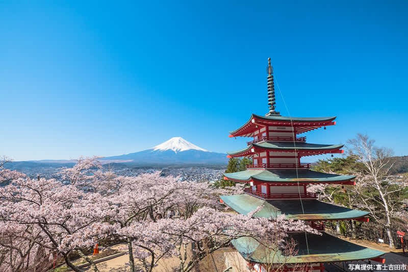 Top places in Japan to see cherry blossom