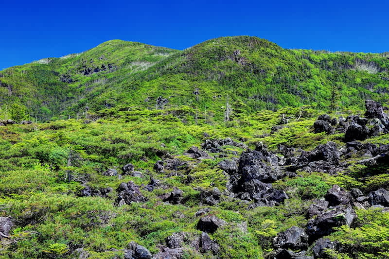 tsuboniwa nature park